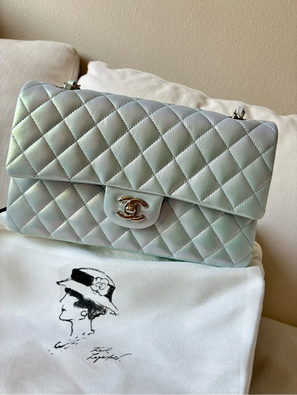 CHANEL Classic Flap Medium Quilted Shoulder Bag Iridescent Ice - RARE